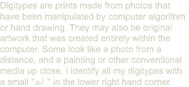 Digitypes are prints made from photos that have been manipulated by computer algorithm or hand drawing. They may also be original artwork that was created entirely within the computer. Some look like a photo from a distance, and a painting or other conventional media up close. I identify all my digitypes with a small "W " in the lower right hand corner.